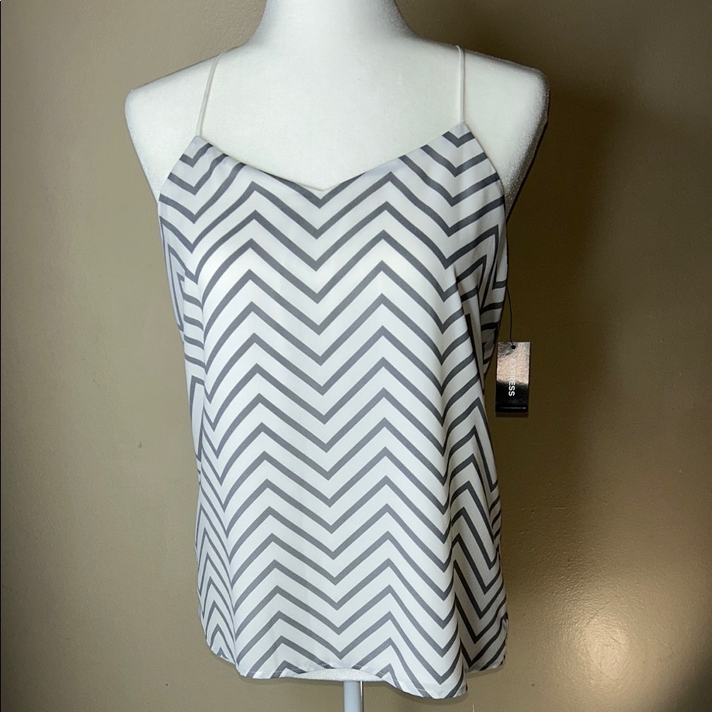 Express Chevron Patterned Women's Top